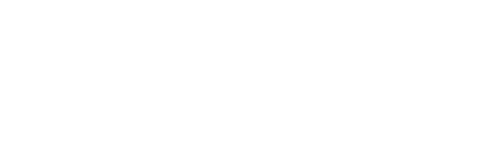 Bilgi VCD